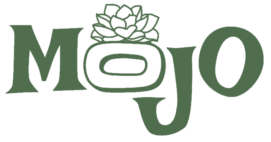 לוגו Mojo Flowers – טיפוגרפיה מודרנית בצבע ירוק עם אלמנט גיאומטרי עדין
